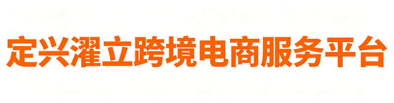 定兴濯立跨境电商服务平台-欢迎您